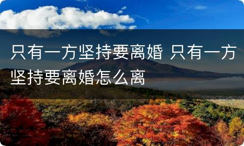 只有一方坚持要离婚 只有一方坚持要离婚怎么离