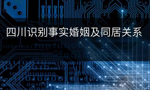 四川识别事实婚姻及同居关系