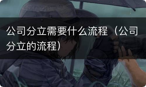 公司分立需要什么流程（公司分立的流程）