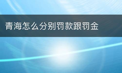 青海怎么分别罚款跟罚金