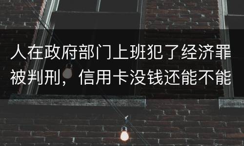 人在政府部门上班犯了经济罪被判刑，信用卡没钱还能不能向银行申请延缓还款期限