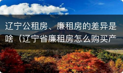 辽宁公租房、廉租房的差异是啥（辽宁省廉租房怎么购买产权）
