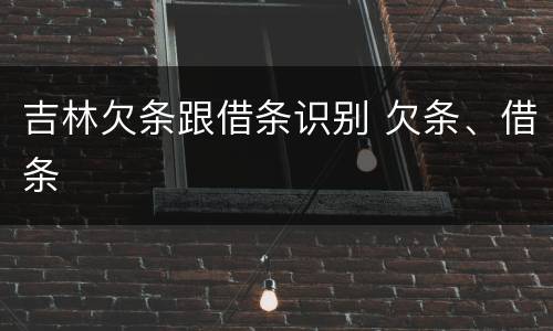 吉林欠条跟借条识别 欠条、借条