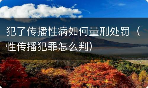 犯了传播性病如何量刑处罚（性传播犯罪怎么判）