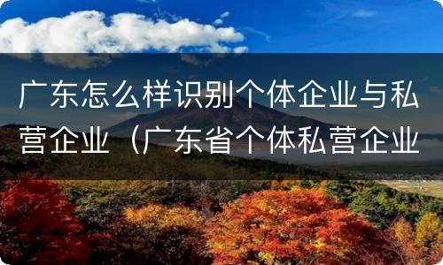 广东怎么样识别个体企业与私营企业（广东省个体私营企业）