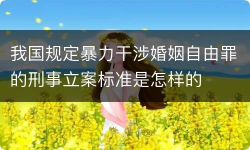 我国规定暴力干涉婚姻自由罪的刑事立案标准是怎样的