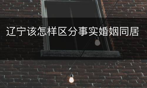 辽宁该怎样区分事实婚姻同居