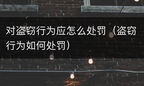 对盗窃行为应怎么处罚（盗窃行为如何处罚）