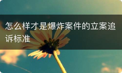 怎么样才是爆炸案件的立案追诉标准