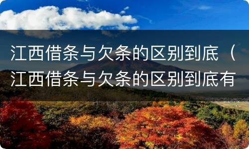 江西借条与欠条的区别到底（江西借条与欠条的区别到底有多少）