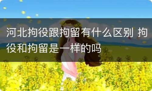 河北拘役跟拘留有什么区别 拘役和拘留是一样的吗
