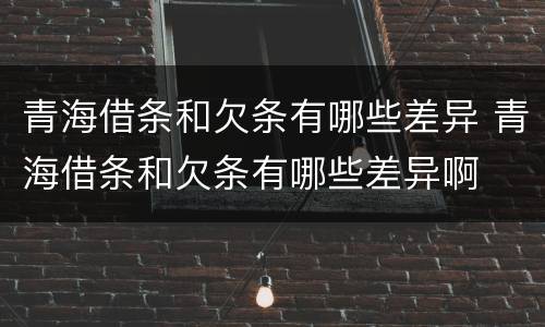 青海借条和欠条有哪些差异 青海借条和欠条有哪些差异啊