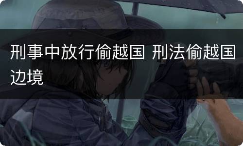 刑事中放行偷越国 刑法偷越国边境