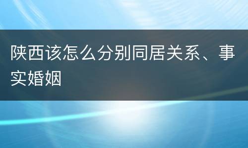 陕西该怎么分别同居关系、事实婚姻