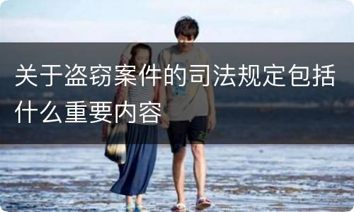 关于盗窃案件的司法规定包括什么重要内容