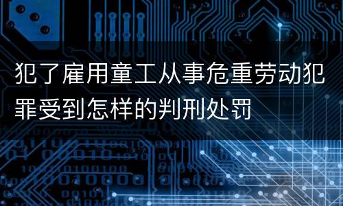 犯了雇用童工从事危重劳动犯罪受到怎样的判刑处罚