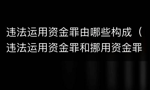 违法运用资金罪由哪些构成（违法运用资金罪和挪用资金罪）