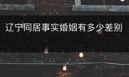 辽宁同居事实婚姻有多少差别