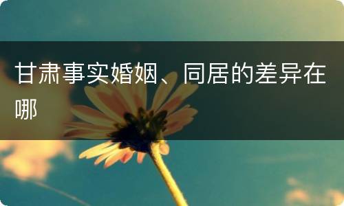 甘肃事实婚姻、同居的差异在哪