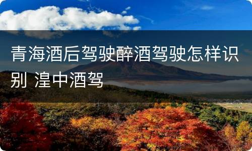 青海酒后驾驶醉酒驾驶怎样识别 湟中酒驾