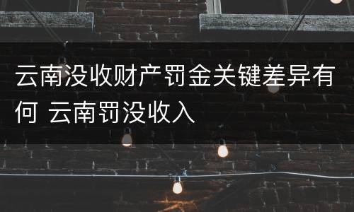 云南没收财产罚金关键差异有何 云南罚没收入
