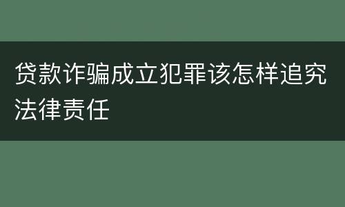 贷款诈骗成立犯罪该怎样追究法律责任