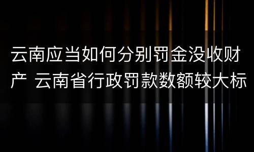 云南应当如何分别罚金没收财产 云南省行政罚款数额较大标准