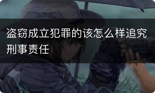 盗窃成立犯罪的该怎么样追究刑事责任