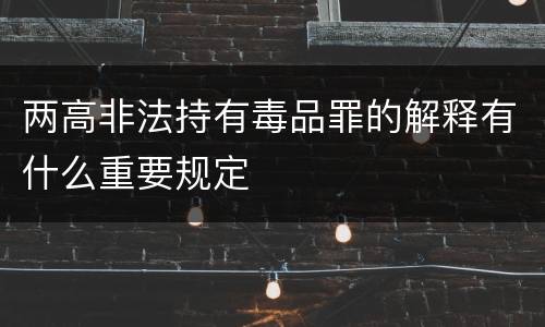 两高非法持有毒品罪的解释有什么重要规定