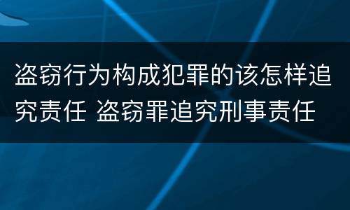 盗窃行为构成犯罪的该怎样追究责任 盗窃罪追究刑事责任