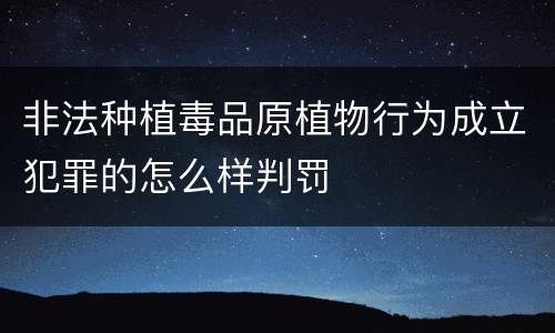 非法种植毒品原植物行为成立犯罪的怎么样判罚