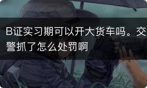 B证实习期可以开大货车吗。交警抓了怎么处罚啊