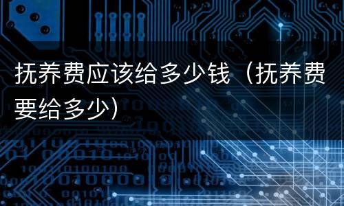 抚养费应该给多少钱（抚养费要给多少）