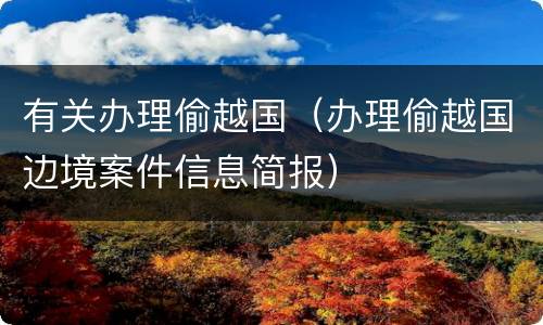 有关办理偷越国（办理偷越国边境案件信息简报）