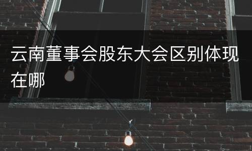 云南董事会股东大会区别体现在哪