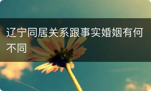 辽宁同居关系跟事实婚姻有何不同