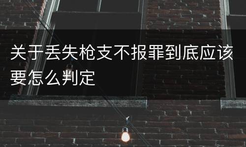 关于丢失枪支不报罪到底应该要怎么判定