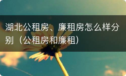 湖北公租房、廉租房怎么样分别（公租房和廉租）