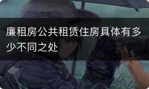 廉租房公共租赁住房具体有多少不同之处
