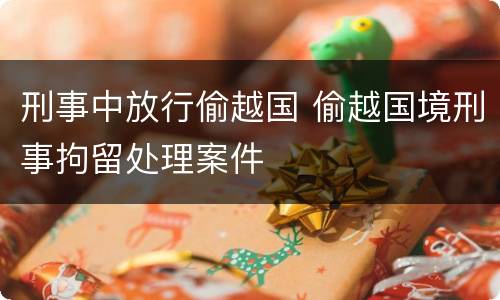 刑事中放行偷越国 偷越国境刑事拘留处理案件