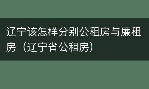 辽宁该怎样分别公租房与廉租房（辽宁省公租房）