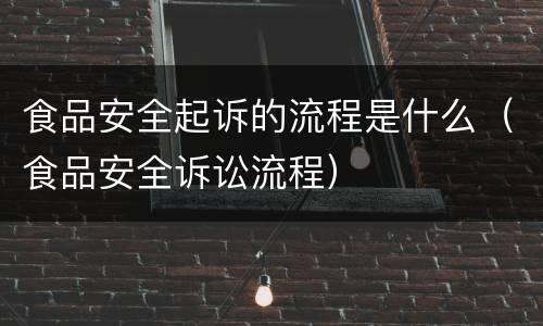 食品安全起诉的流程是什么（食品安全诉讼流程）