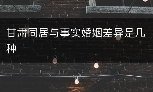 甘肃同居与事实婚姻差异是几种