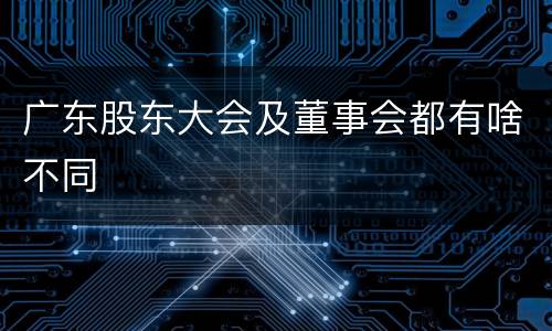 广东股东大会及董事会都有啥不同