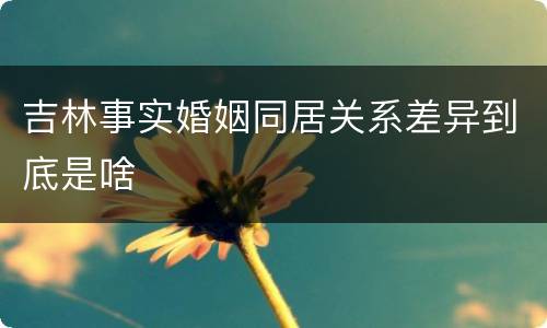 吉林事实婚姻同居关系差异到底是啥