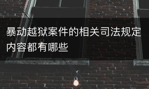暴动越狱案件的相关司法规定内容都有哪些