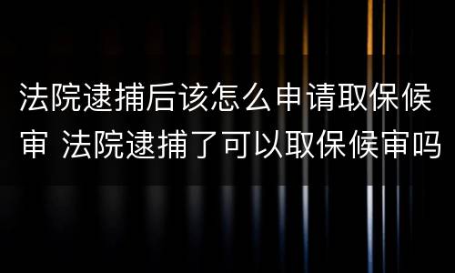 法院逮捕后该怎么申请取保候审 法院逮捕了可以取保候审吗