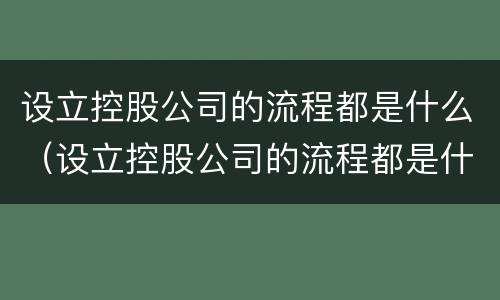 设立控股公司的流程都是什么（设立控股公司的流程都是什么内容）