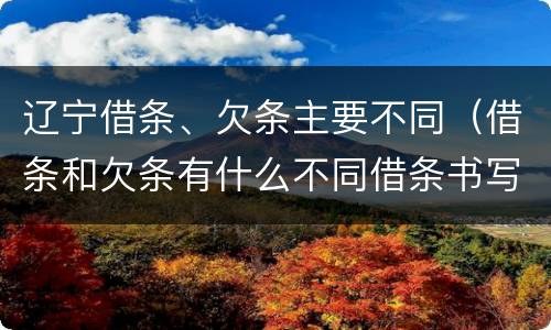 辽宁借条、欠条主要不同（借条和欠条有什么不同借条书写）