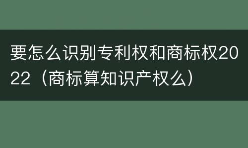 要怎么识别专利权和商标权2022（商标算知识产权么）